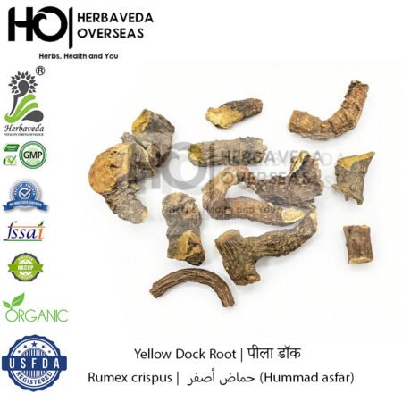 Yellow Dock Root | पीला डॉक | Rumex crispus