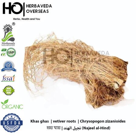 Khas ghas  | vetiver roots  | Chrysopogon zizanioides| खस घास | نجيل الهند (Najeel al-Hind)