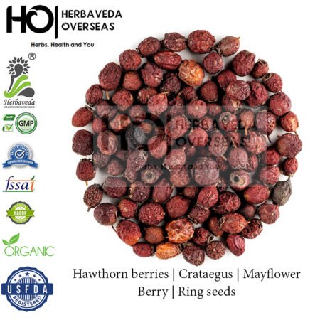 Hawthorn berries | Crataegus | Mayflower Berry | Ring seeds